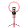 Afbeelding laden in Galerijviewer, Tripod Integrated Selfie Stick Compatible with Apple, Bluetooth Aluminum Alloy